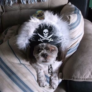 Meet your Posher, Denise